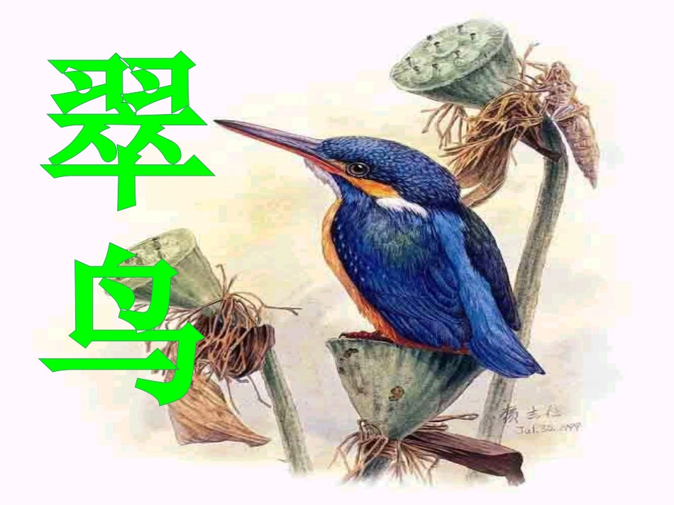 《翠鸟》_人教版小学语文三下[_第1页