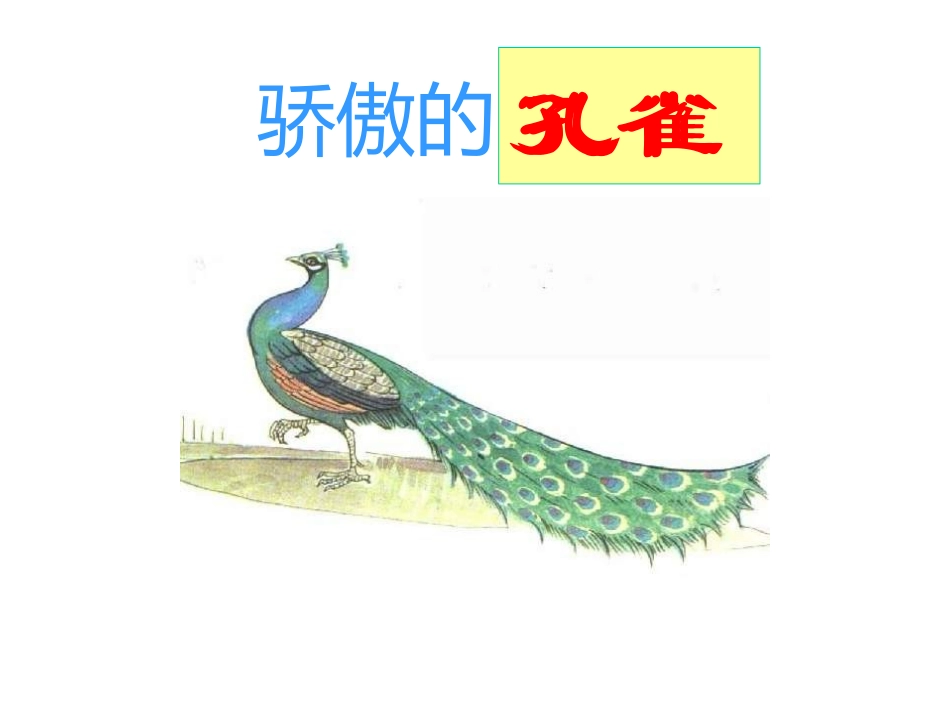 骄傲的孔雀课件_第2页