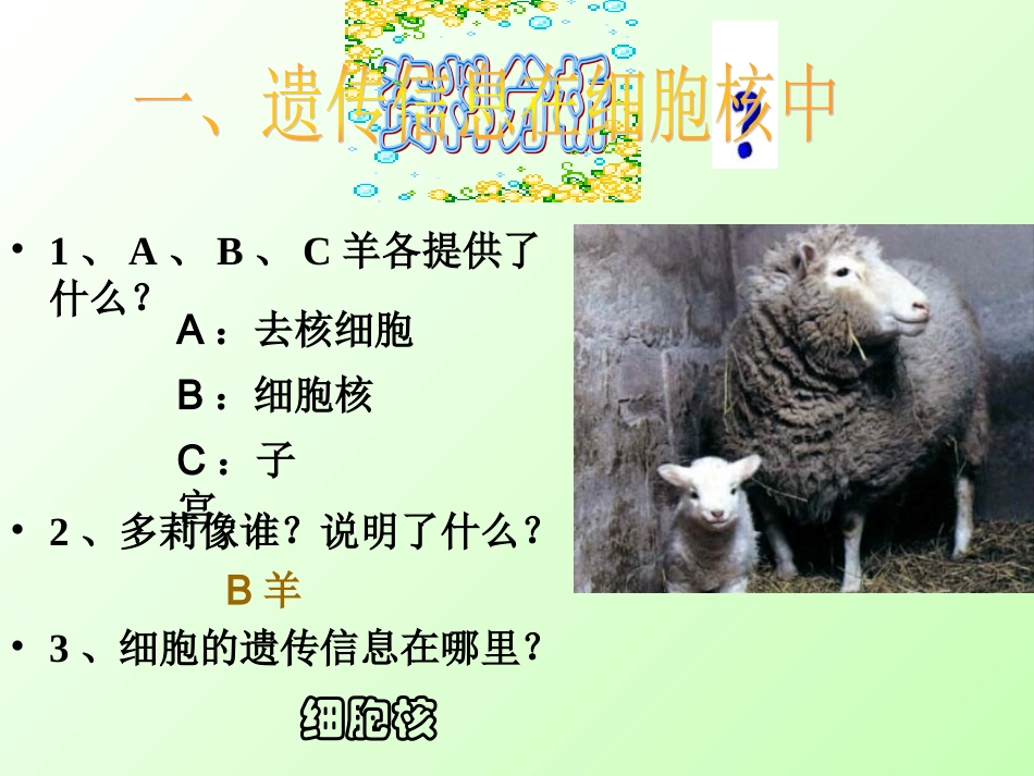 苏教版生物七上第三章第二节人和动物细胞的结构和功能（共36张PPT）_第3页