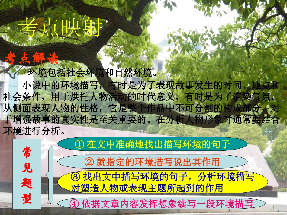 小说环境阅读课_第3页