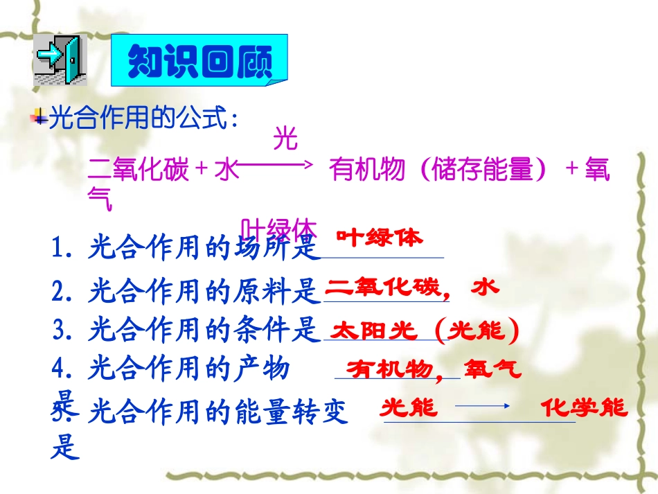绿色植物的呼吸作用课件（人教版七年级上）_第1页