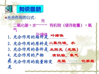 绿色植物的呼吸作用课件（人教版七年级上）