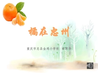 金鸡小学章翠华