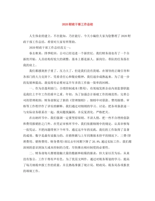财政干部工作总结