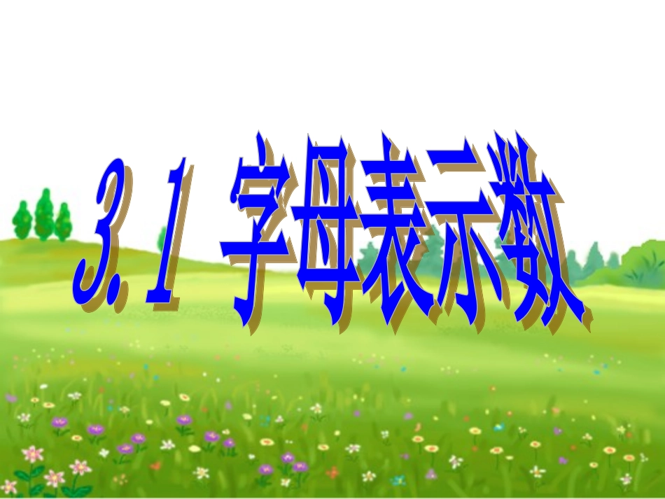 字母表示数课件 (2)_第3页
