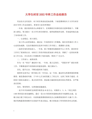 大学生村官终工作总结报告