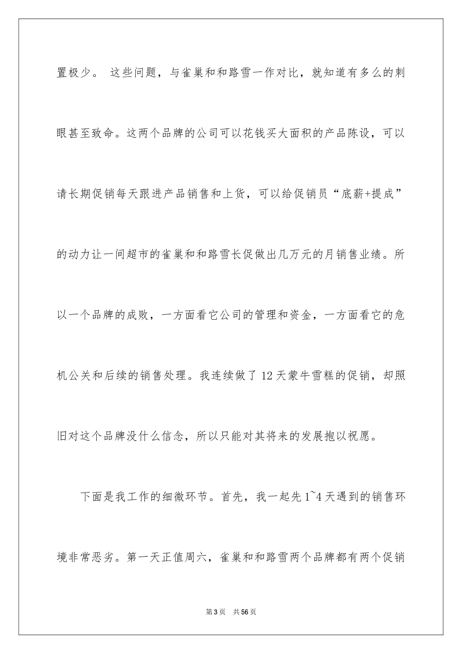 2024促销实习报告_第3页