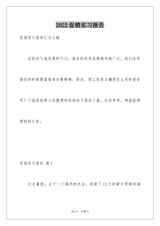 2024促销实习报告