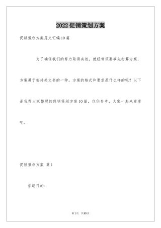 2024促销策划方案_17