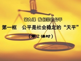 维护社会公平第一框第二课时