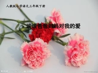 谈谈爸爸妈妈对我的爱