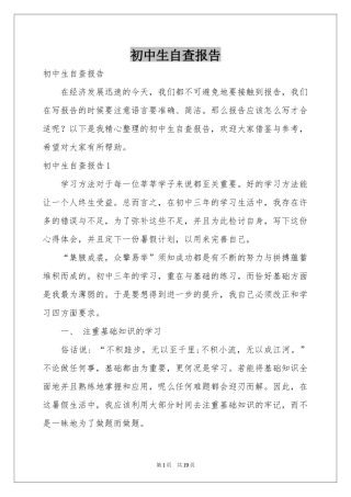 初中生自查报告