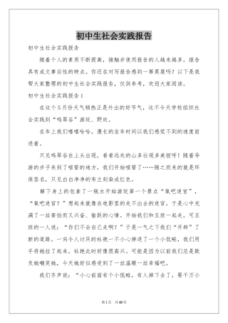 初中生社会实践报告