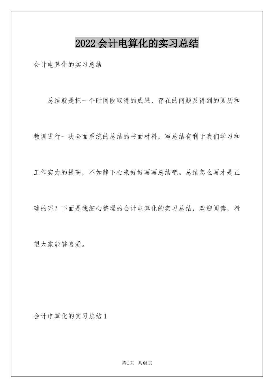 2024会计电算化的实习总结_2_第1页