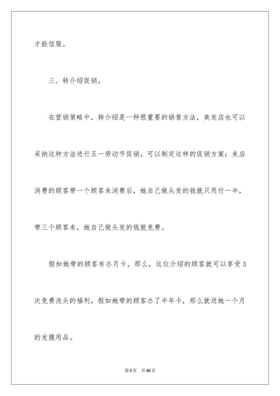 2024促销方案_81_第3页