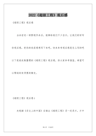 2024《超级工程》观后感