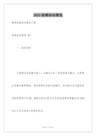 2024促销活动策划_94