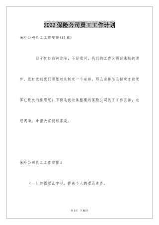 2024保险公司员工工作计划_1