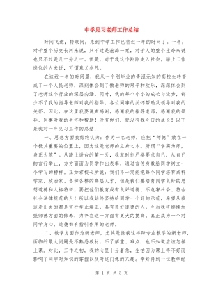 中学见习教师工作总结