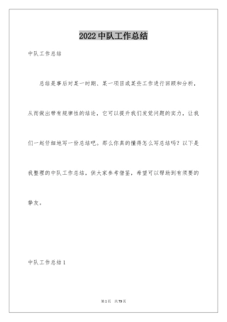 2024中队工作总结_1