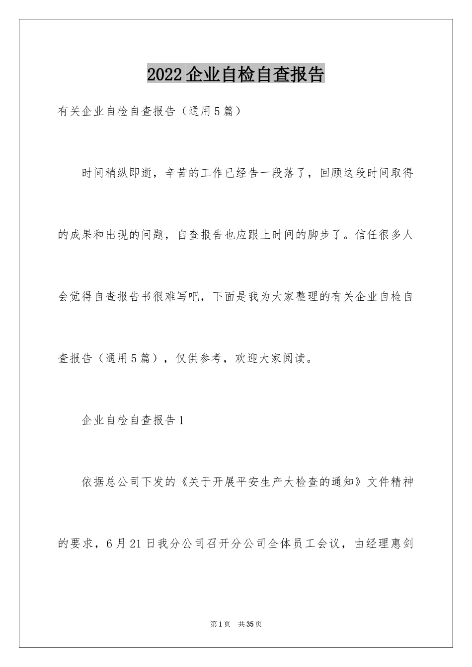 2024企业自检自查报告_第1页