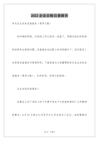 2024企业自检自查报告