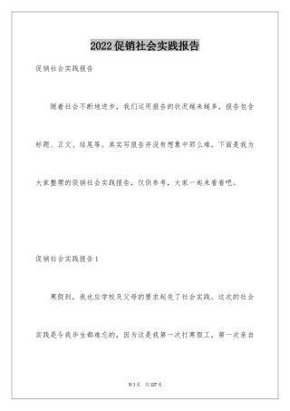 2024促销社会实践报告_1