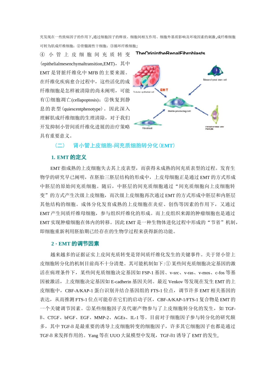 肾小管间质纤维化的发病机制及治疗进展_第2页