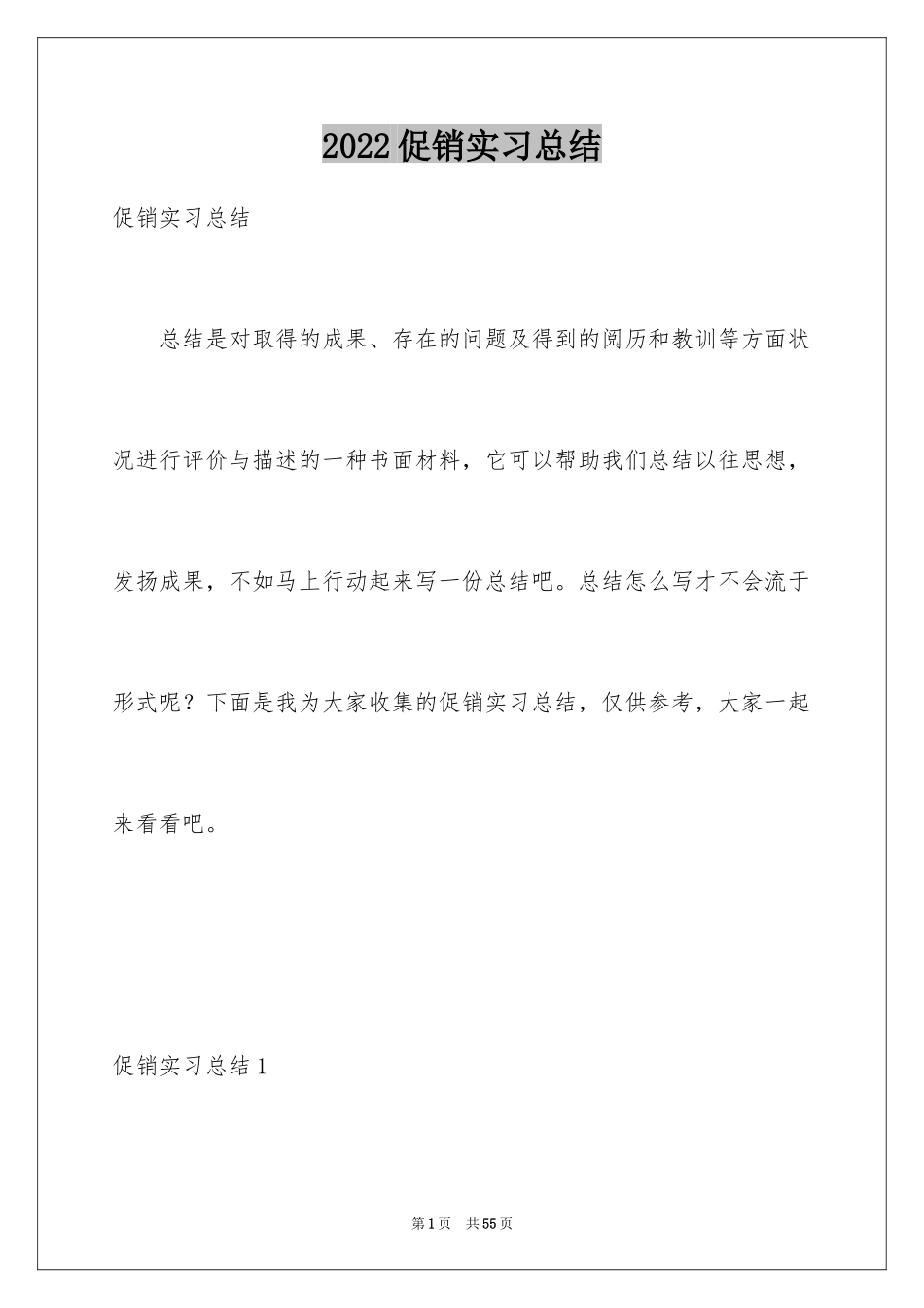 2024促销实习总结_第1页