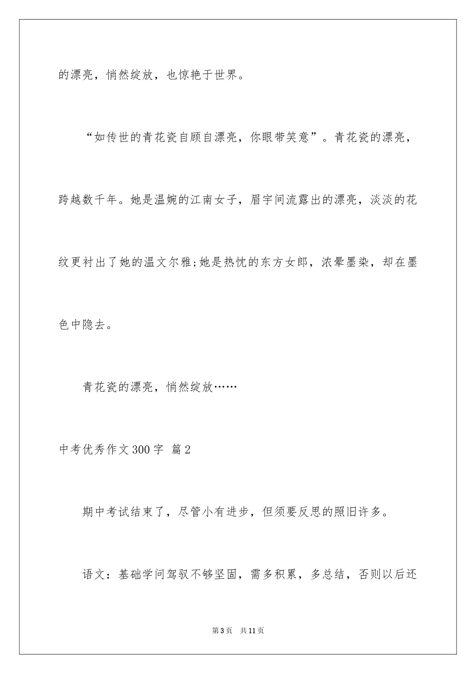 2024中考优秀作文300字_第3页