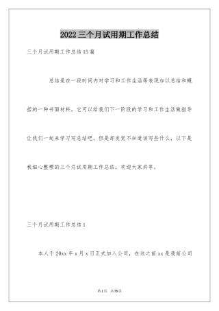 2024三个月试用期工作总结