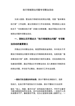 执行领域突出问题专项整治