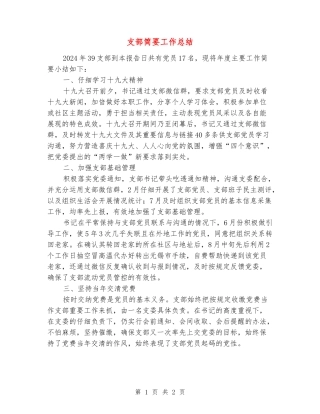 支部简要工作总结