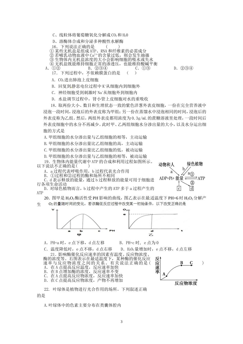 必修一小测试_第3页