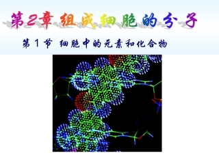 细胞中的元素和化合物