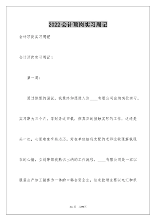 2024会计顶岗实习周记_19