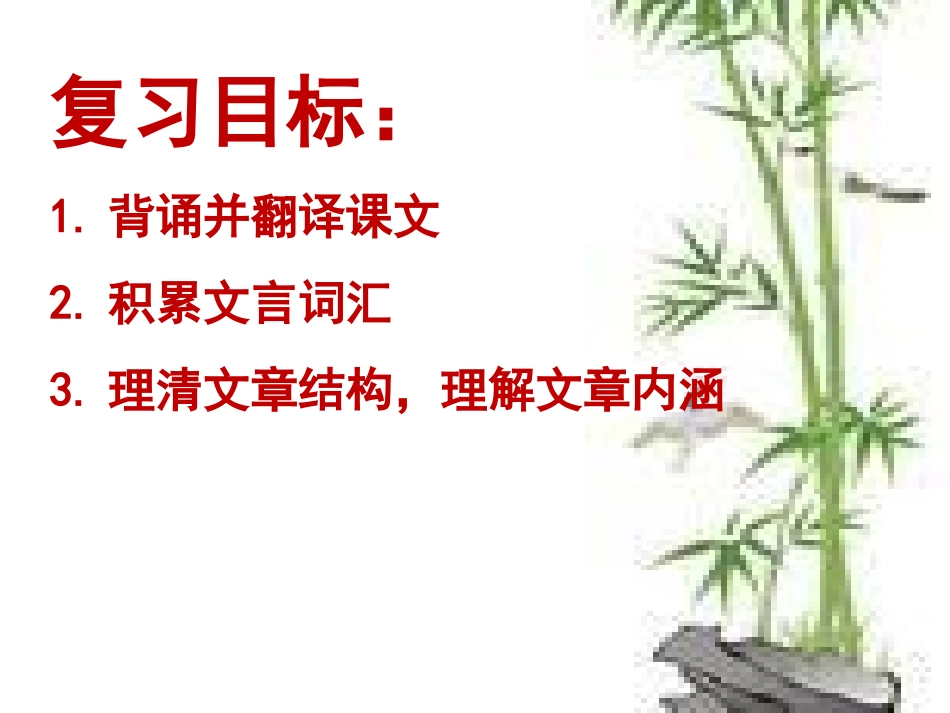 第5课《童趣》复习课_第2页