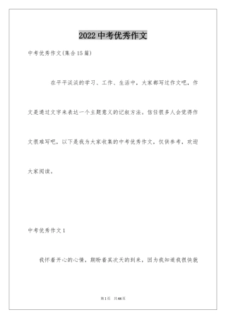 2024中考优秀作文_250