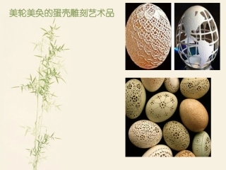 作文活动课蛋壳艺术