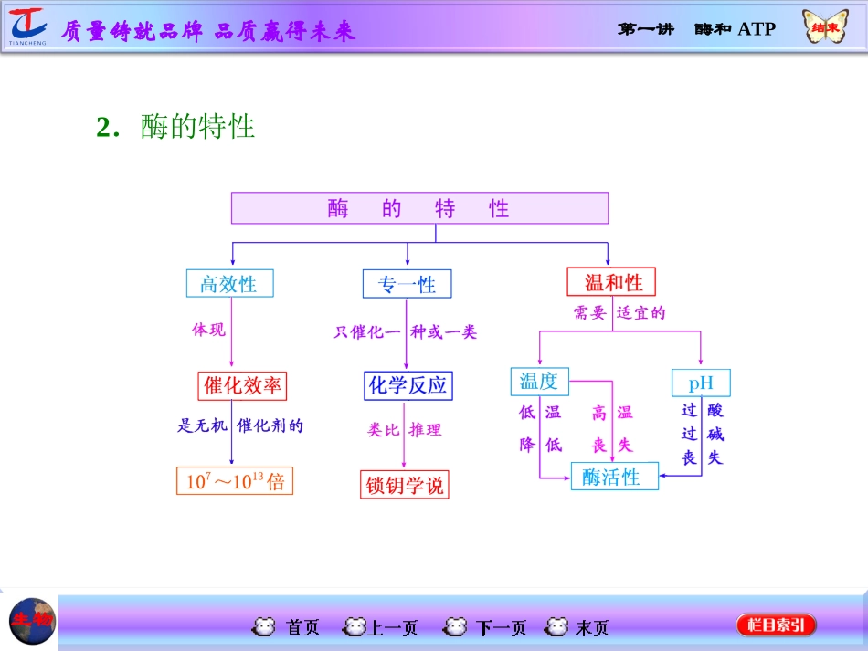 第一讲酶和ATP_第3页