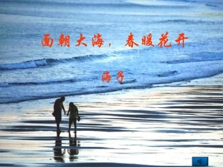 面朝大海春暖花开