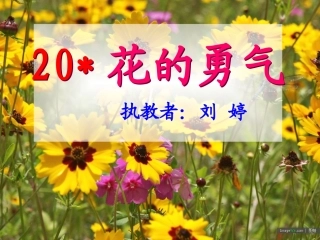 花的勇气公开课