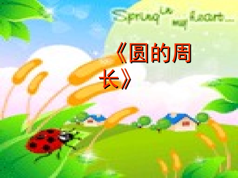 六上圆的周长PPT课件_第2页