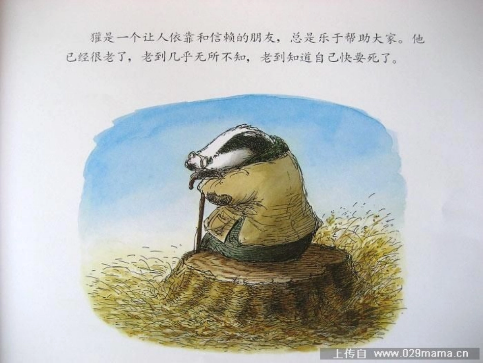 獾的礼物课件_第3页