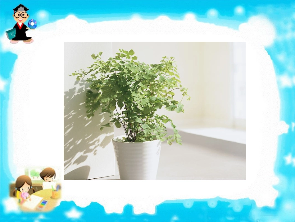 手捧空花盆的孩子 (2)_第3页