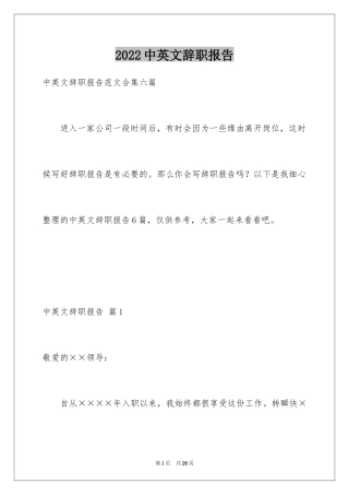 2024中英文辞职报告_13