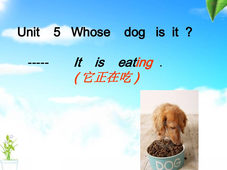PEP5下5单元二课时_第1页