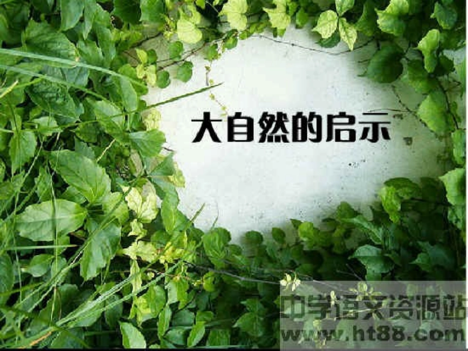 小学四年级作文大自然的启示_第1页