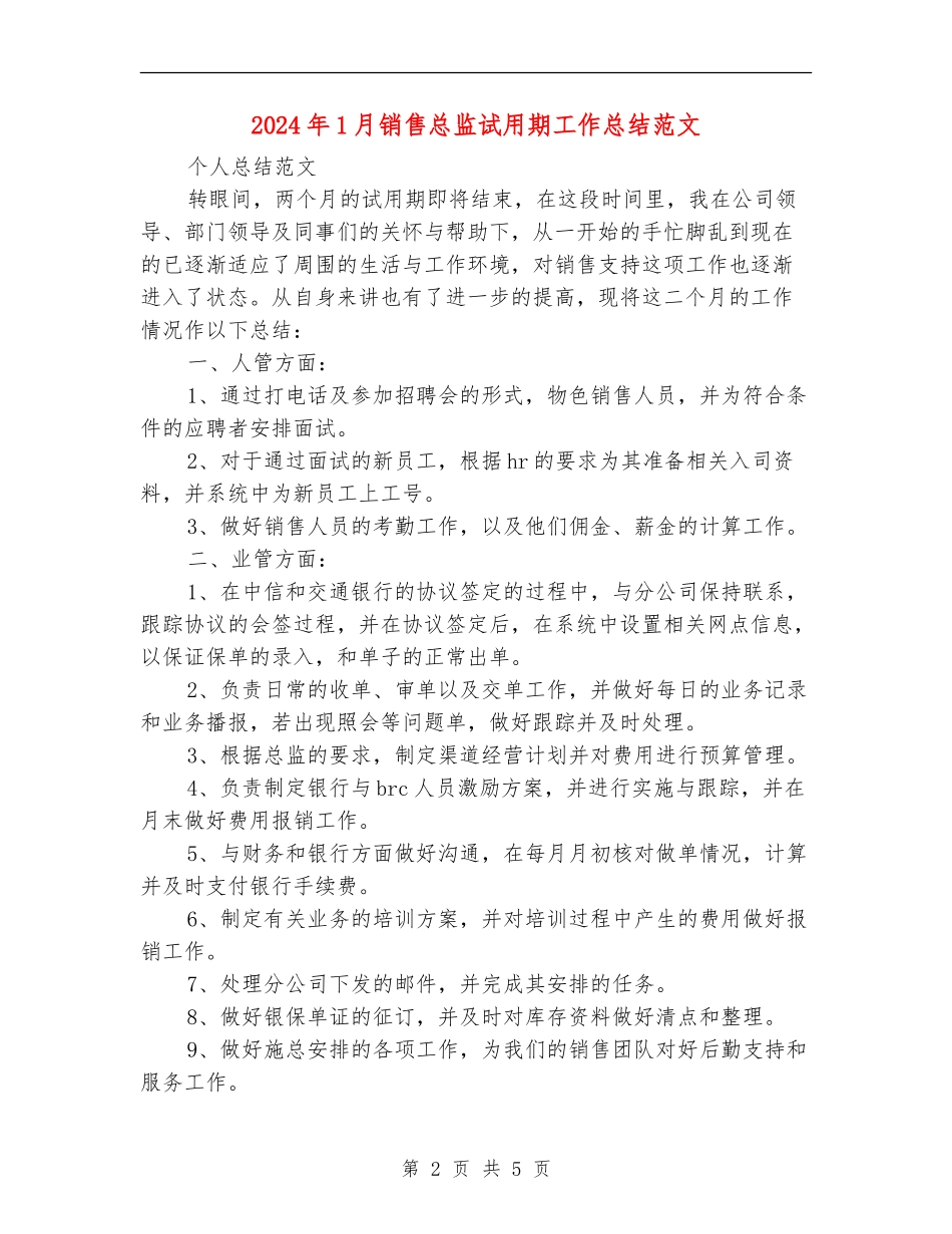 2024年1月销售总监试用期工作总结范文_第2页