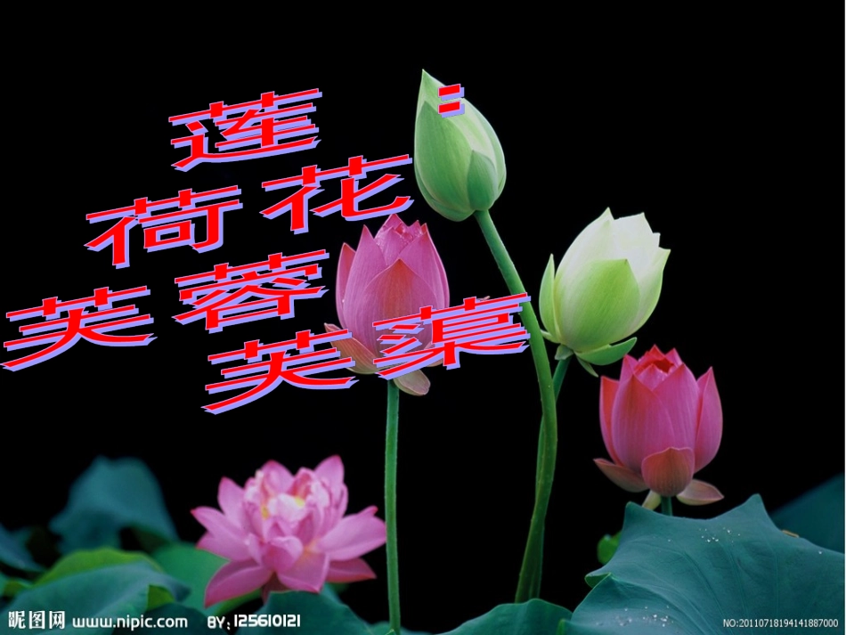 爱莲说 (3)_第2页